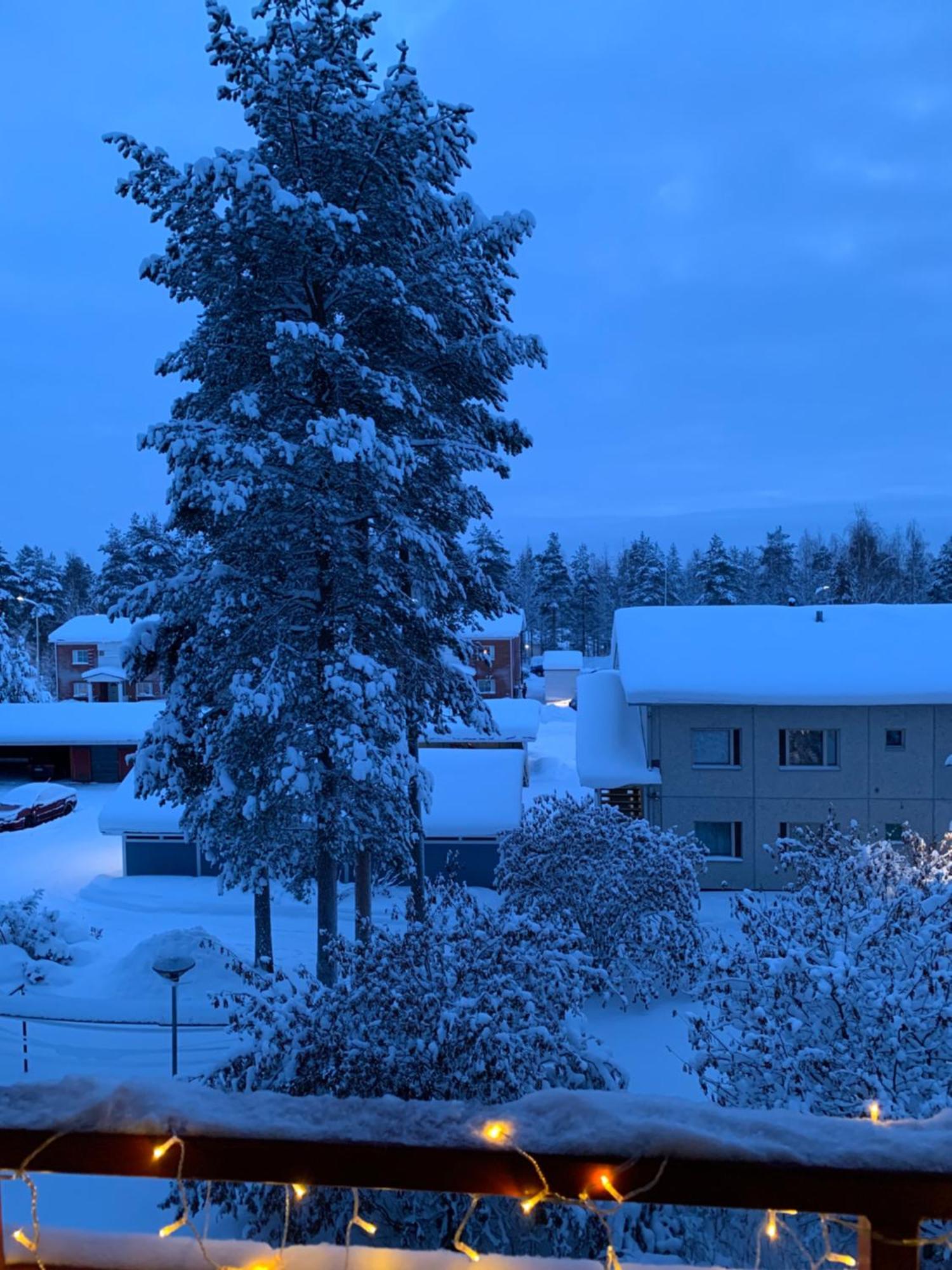 Susihukka & Punahilkka Apartments With Sauna Rovaniemi Exteriör bild
